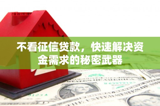 西青不看征信贷款，快速解决资金需求的秘密武器