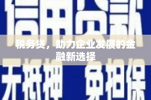西青税务贷，助力企业发展的金融新选择