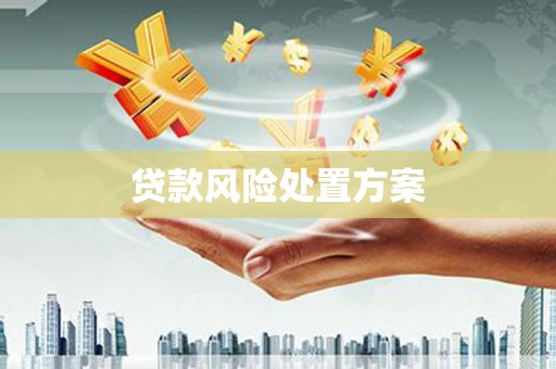 西青贷款风险处置方案