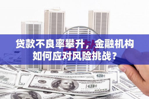 西青贷款不良率攀升，金融机构如何应对风险挑战？