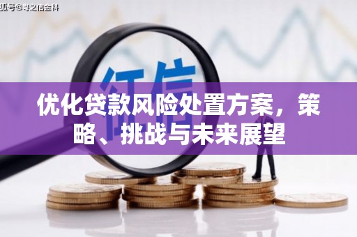 西青优化贷款风险处置方案，策略、挑战与未来展望