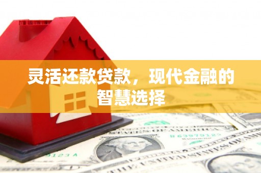 西青灵活还款贷款，现代金融的智慧选择
