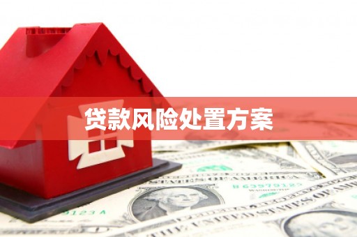 西青贷款风险处置方案
