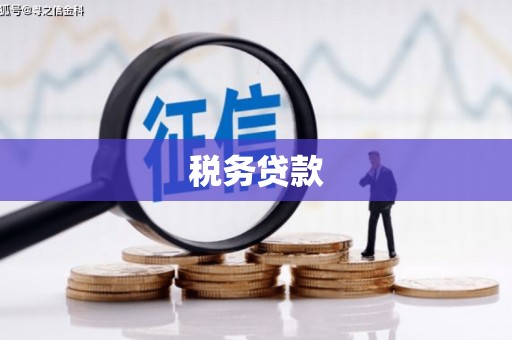 西青税务贷款