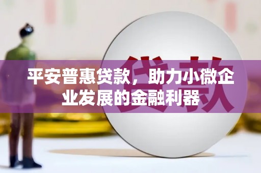 西青平安普惠贷款，助力小微企业发展的金融利器
