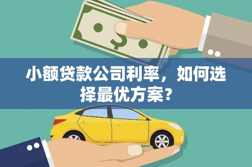 西青小额贷款公司利率，如何选择最优方案？