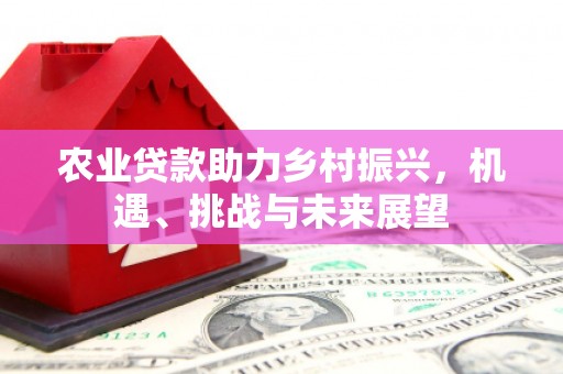 西青农业贷款助力乡村振兴，机遇、挑战与未来展望