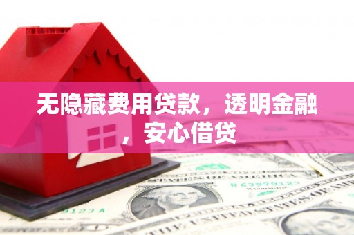 西青无隐藏费用贷款，透明金融，安心借贷
