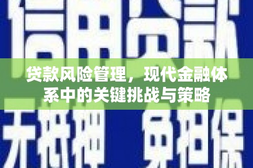 西青贷款风险管理，现代金融体系中的关键挑战与策略