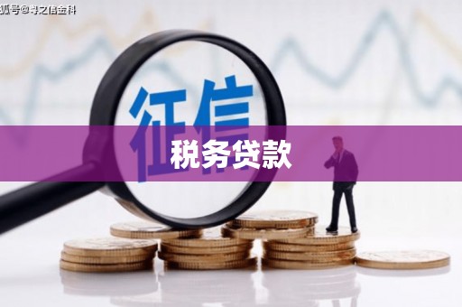 西青税务贷款