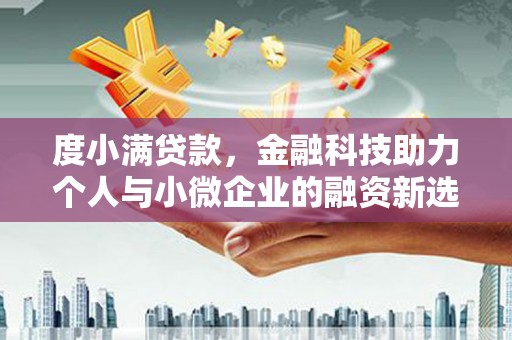 西青度小满贷款，金融科技助力个人与小微企业的融资新选择