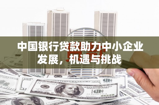 西青中国银行贷款助力中小企业发展，机遇与挑战