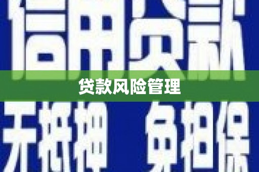 西青贷款风险管理
