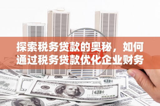 西青探索税务贷款的奥秘，如何通过税务贷款优化企业财务