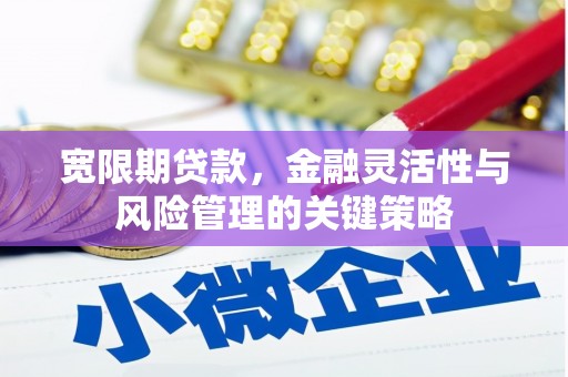 西青宽限期贷款，金融灵活性与风险管理的关键策略