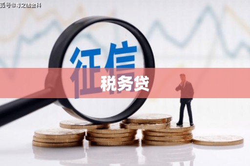 西青税务贷