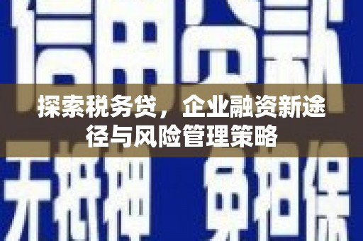 西青探索税务贷，企业融资新途径与风险管理策略