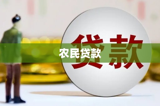 西青农民贷款