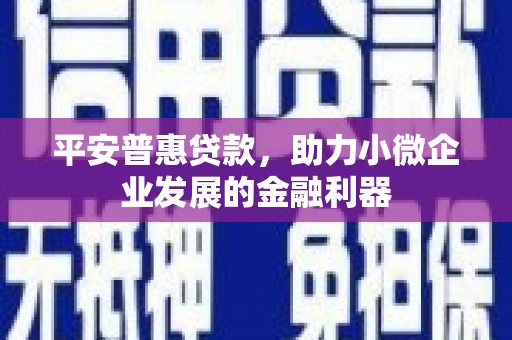 西青平安普惠贷款，助力小微企业发展的金融利器