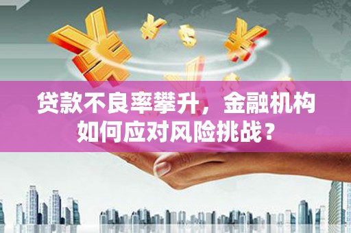 西青贷款不良率攀升，金融机构如何应对风险挑战？