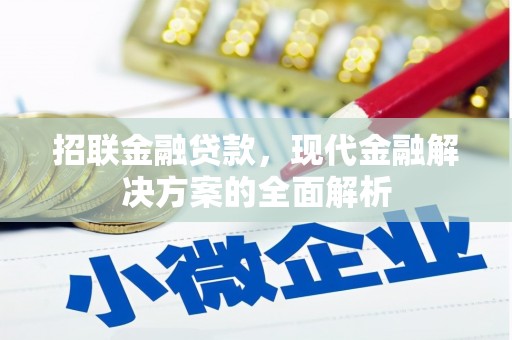 西青招联金融贷款，现代金融解决方案的全面解析