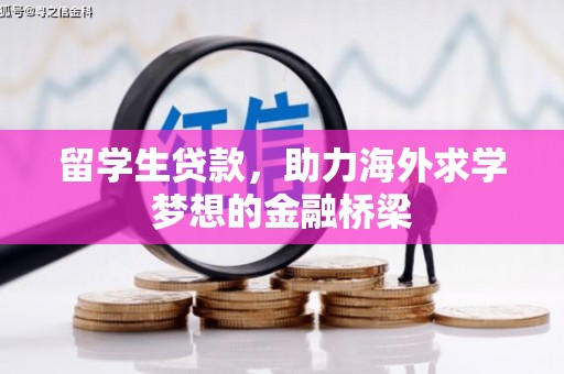 西青留学生贷款，助力海外求学梦想的金融桥梁