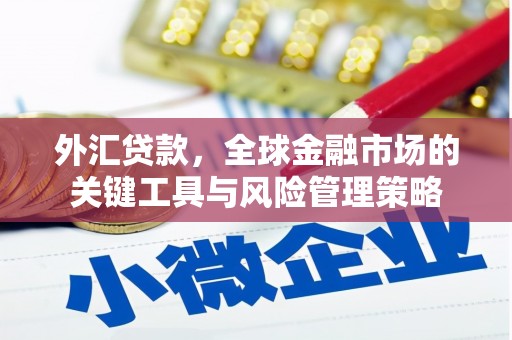 西青外汇贷款，全球金融市场的关键工具与风险管理策略