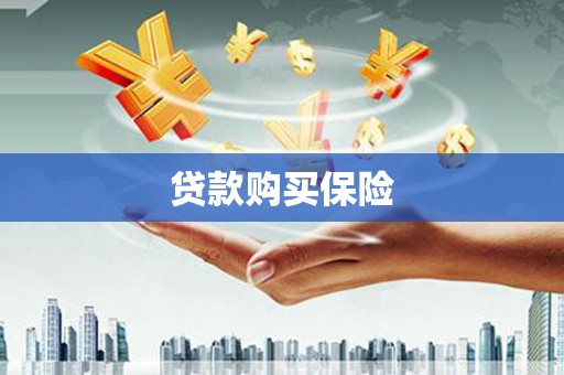 西青贷款购买保险