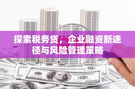 西青探索税务贷，企业融资新途径与风险管理策略