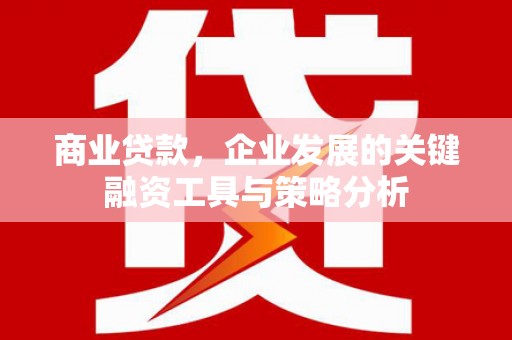 西青商业贷款，企业发展的关键融资工具与策略分析