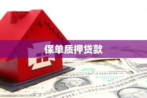 西青保单质押贷款