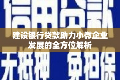 西青建设银行贷款助力小微企业发展的全方位解析