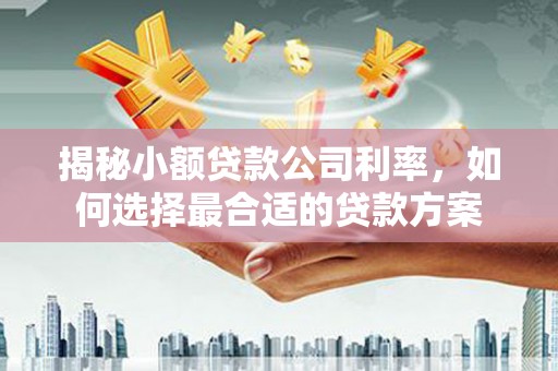 西青揭秘小额贷款公司利率，如何选择最合适的贷款方案