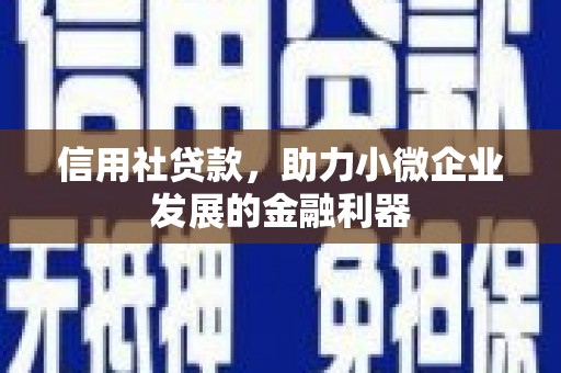 西青信用社贷款，助力小微企业发展的金融利器