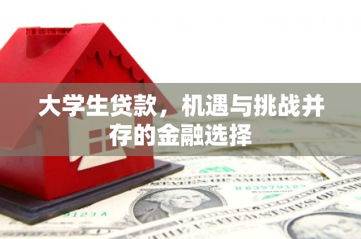 西青大学生贷款，机遇与挑战并存的金融选择