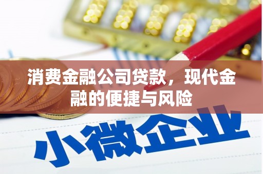 西青消费金融公司贷款，现代金融的便捷与风险
