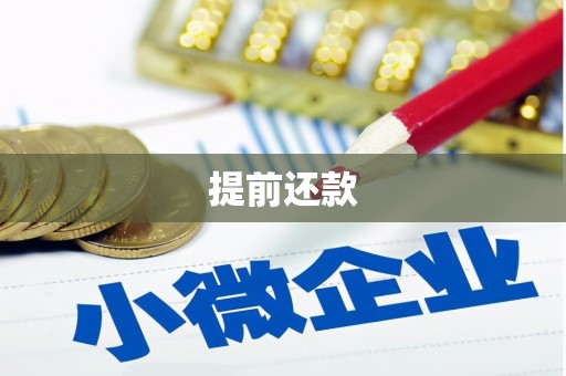 西青提前还款